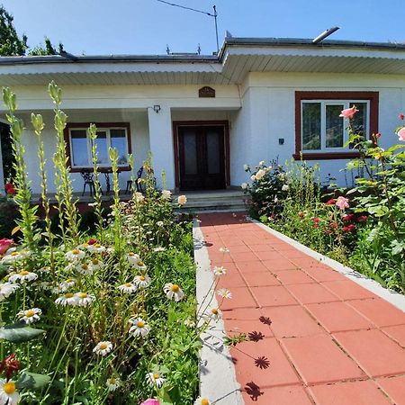 Casa Jeni Villa Humulesti Екстериор снимка