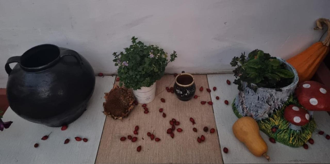 Casa Jeni Villa Humulesti Екстериор снимка